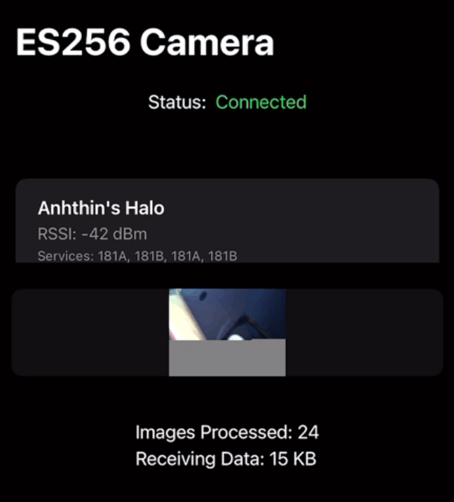 iOS app control interface